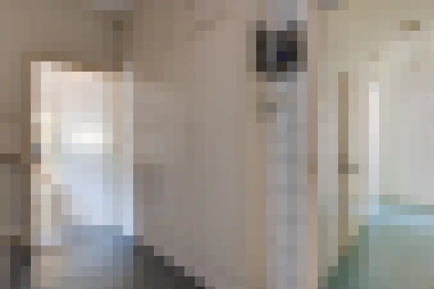 Heelweg 37 Dinxperlo thumbnail 13
