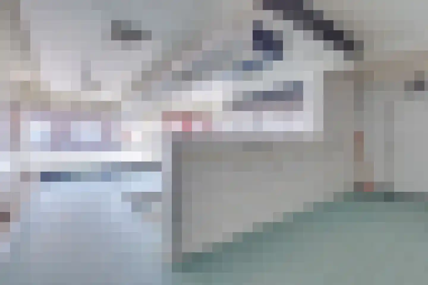 Heelweg 37 Dinxperlo thumbnail 14