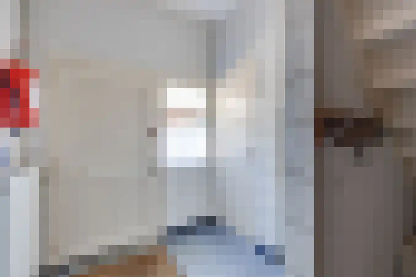 Heelweg 37 Dinxperlo thumbnail 20