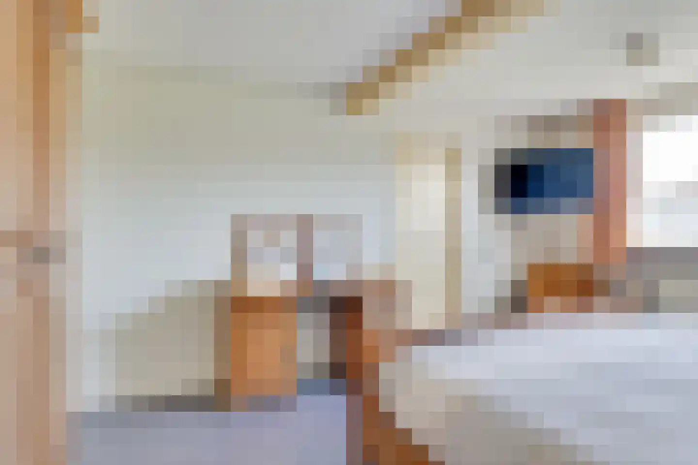 Heelweg 37 Dinxperlo thumbnail 26
