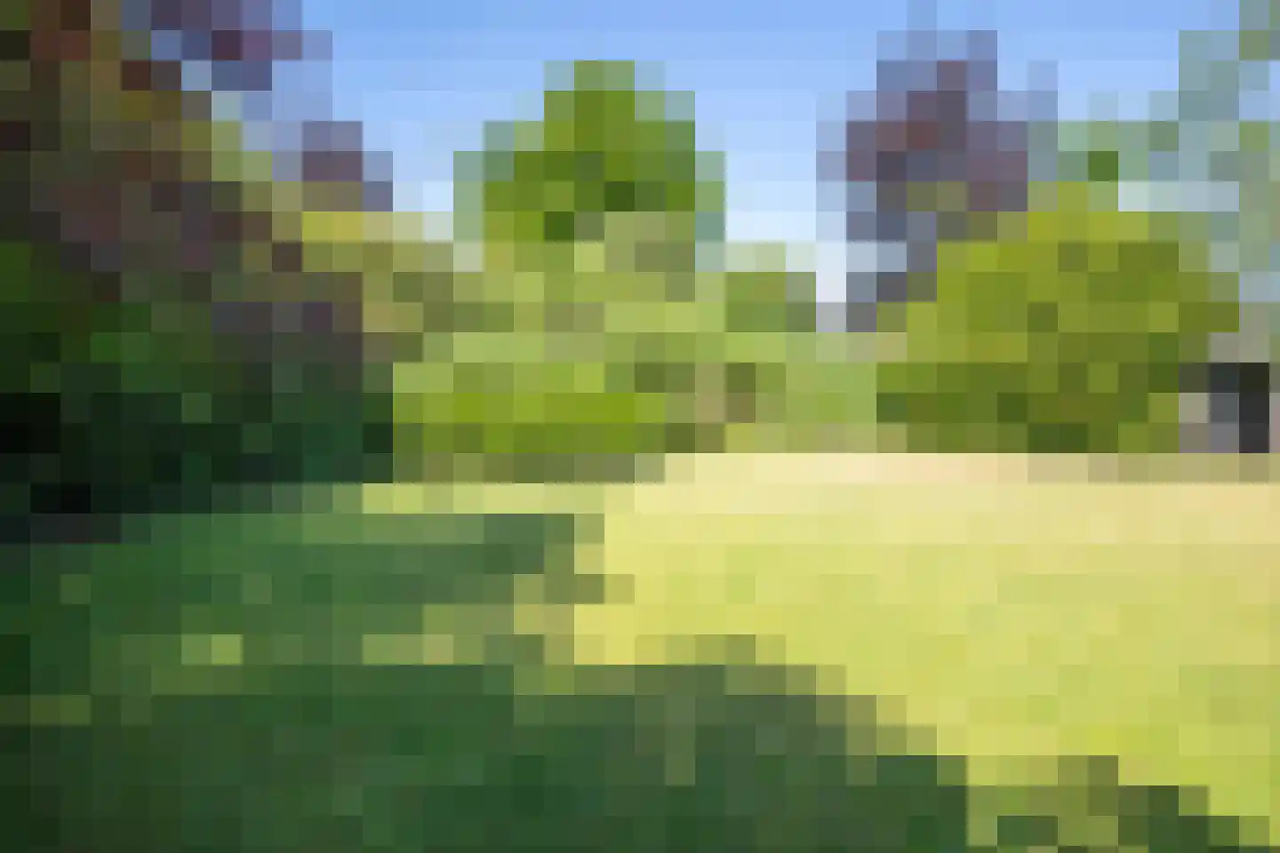 Heelweg 37 Dinxperlo thumbnail 29