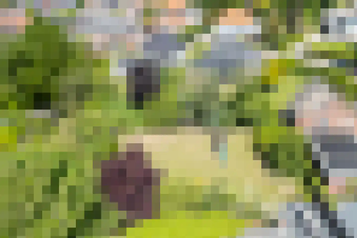 Heelweg 37 Dinxperlo thumbnail 30
