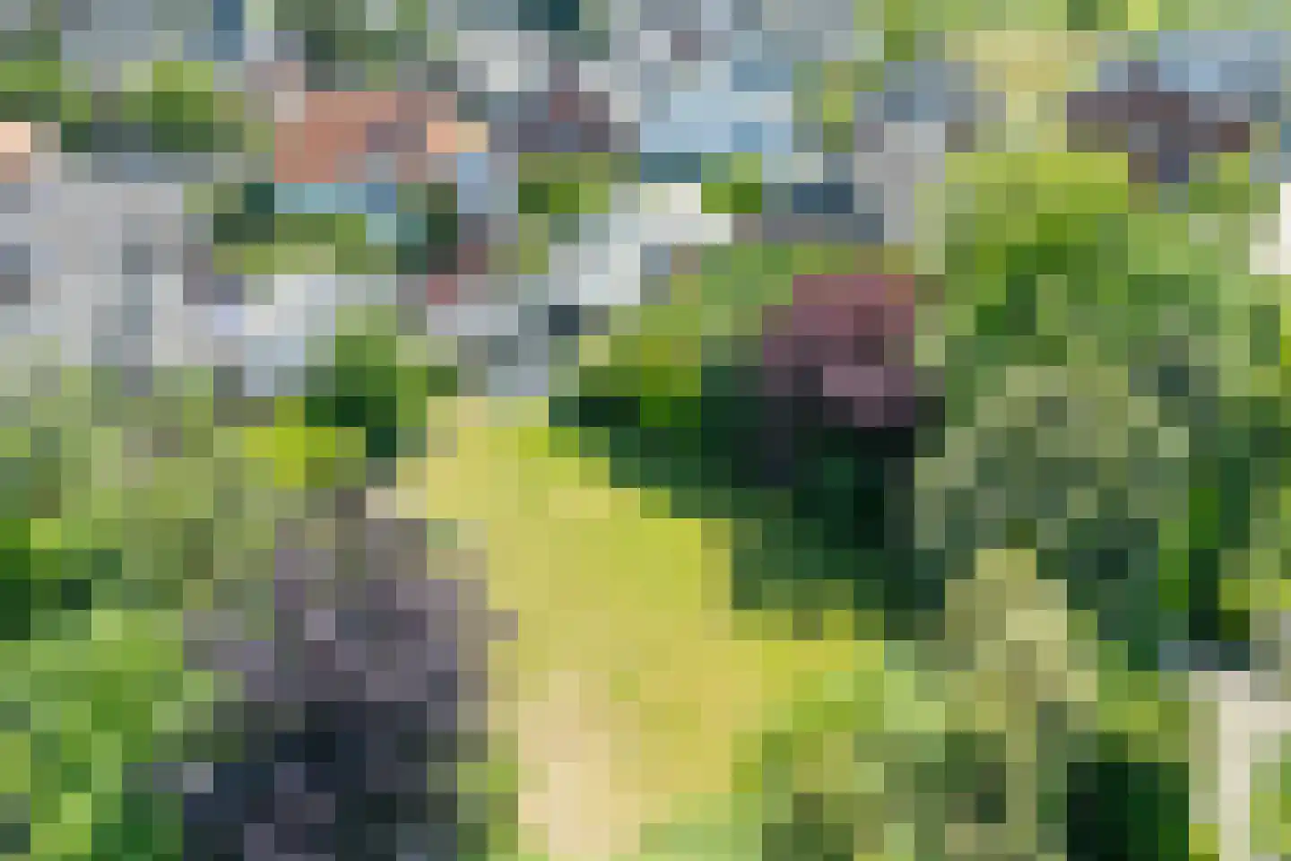 Heelweg 37 Dinxperlo thumbnail 32
