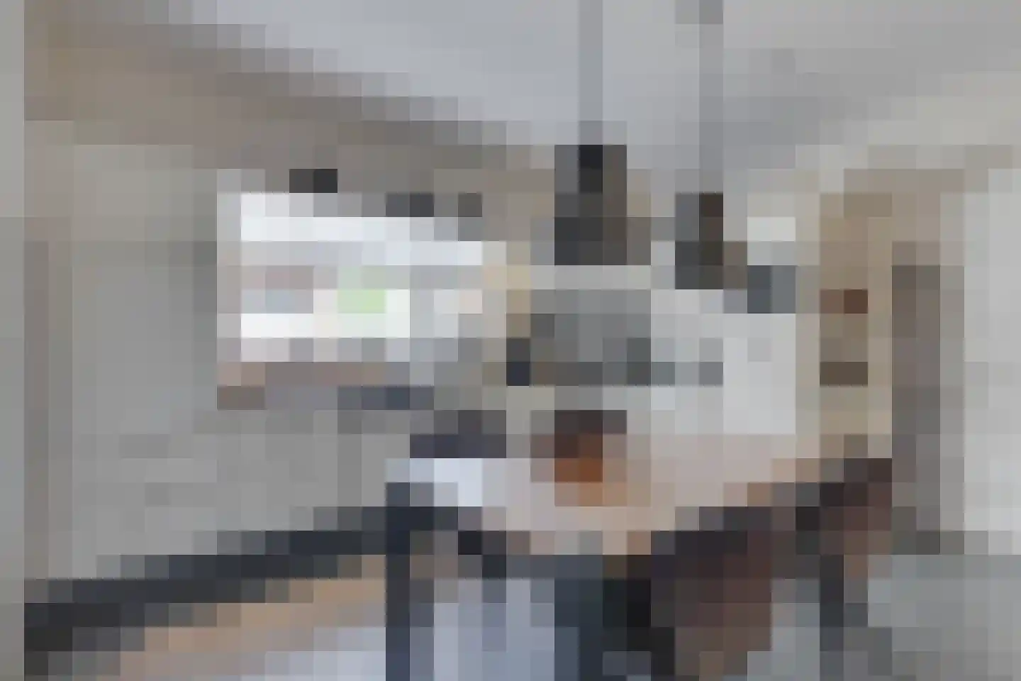 Heelweg 37 Dinxperlo thumbnail 8