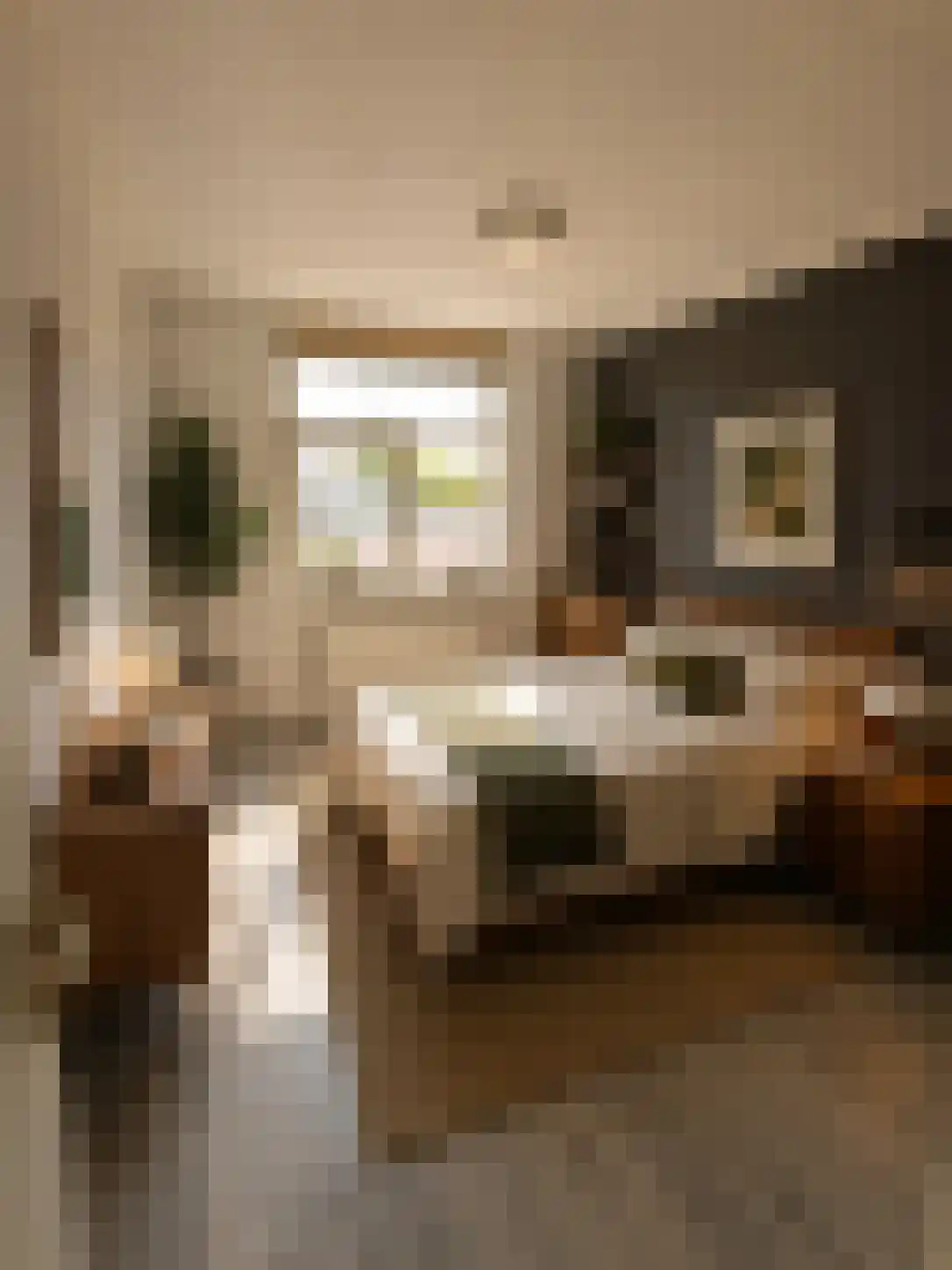 Heelweg 55 Dinxperlo thumbnail 4