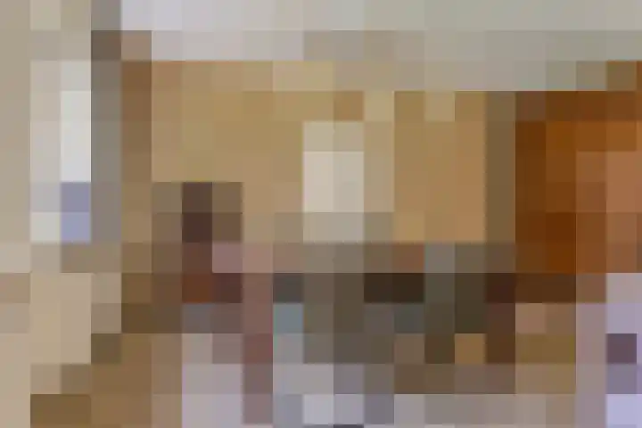 Heelweg 6 Beltrum thumbnail 17