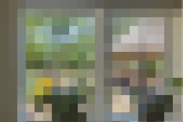 Heelweg 6 Beltrum thumbnail 25