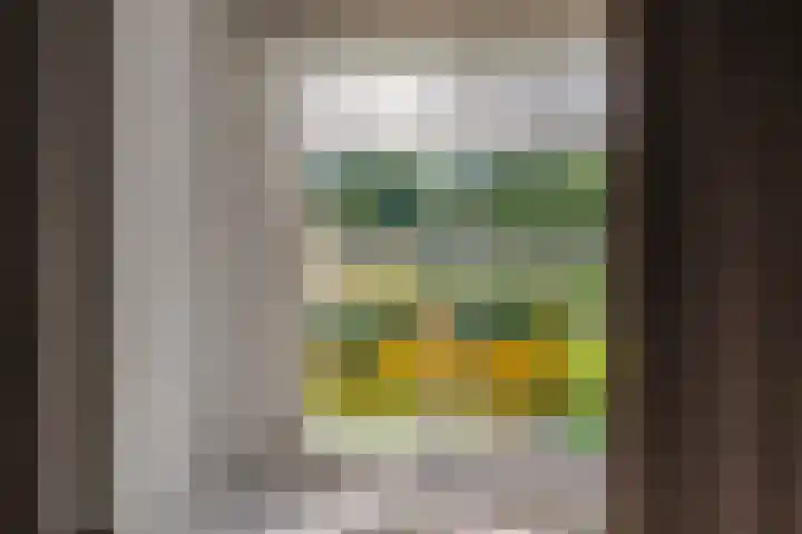 Heelweg 6 Beltrum thumbnail 33
