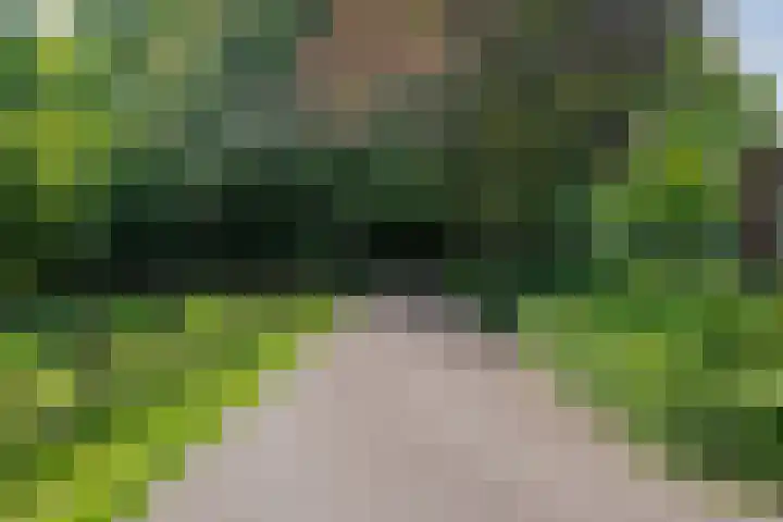 Heelweg 6 Beltrum thumbnail 64