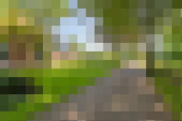 Heelweg 6 Beltrum thumbnail 7