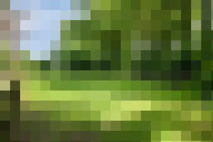 Heelweg 6 Beltrum thumbnail 71