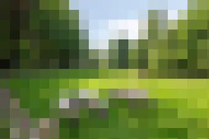 Heelweg 6 Beltrum thumbnail 75