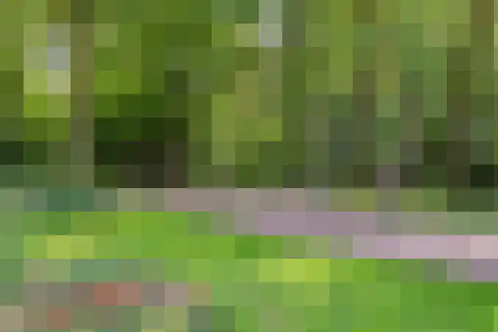 Heelweg 6 Beltrum thumbnail 77