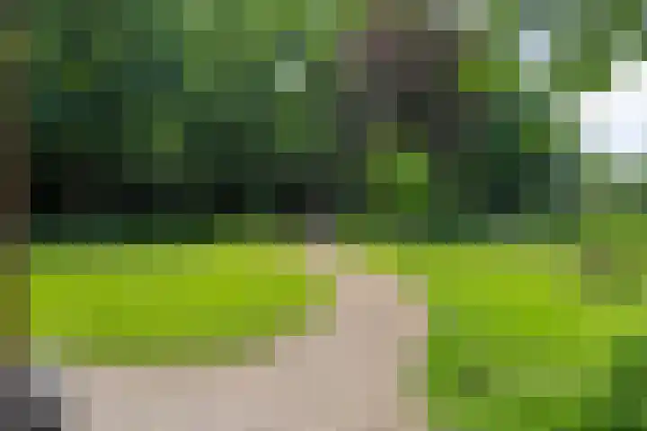 Heelweg 6 Beltrum thumbnail 78