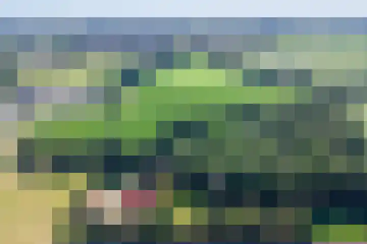 Heelweg 6 Beltrum thumbnail 80