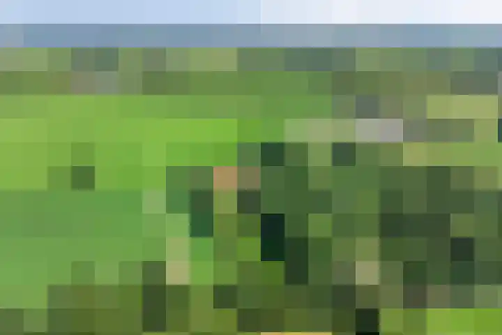 Heelweg 6 Beltrum thumbnail 83
