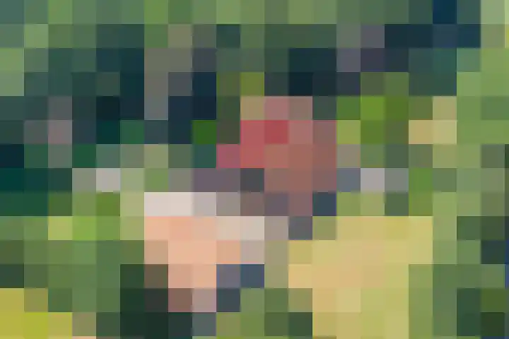 Heelweg 6 Beltrum thumbnail 85