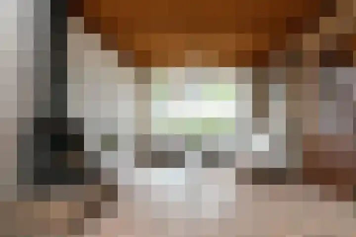 Heelwijkstraat 1 Heesch thumbnail 12