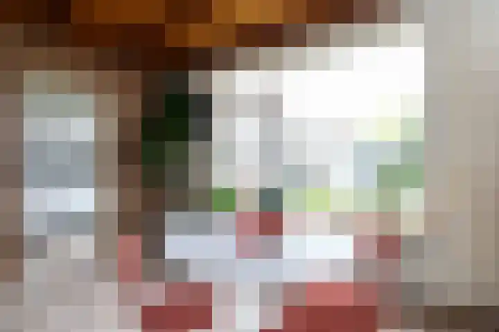 Heelwijkstraat 1 Heesch thumbnail 16