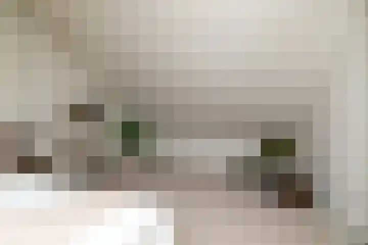 Heelwijkstraat 1 Heesch thumbnail 29