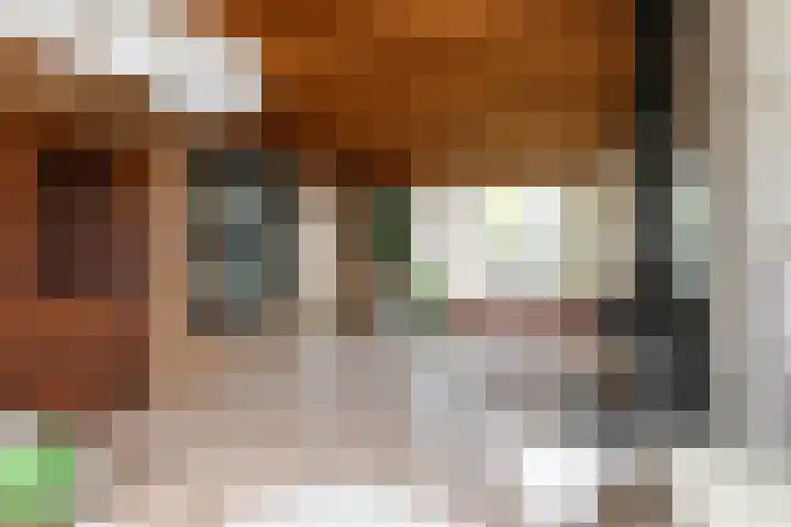 Heelwijkstraat 1 Heesch thumbnail 9