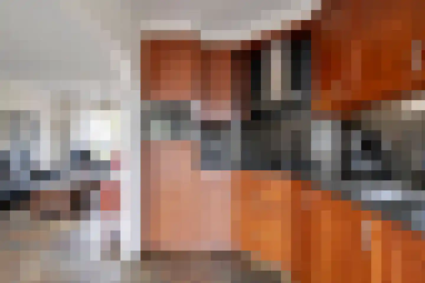 Heelwijkstraat 17 Heesch thumbnail 15