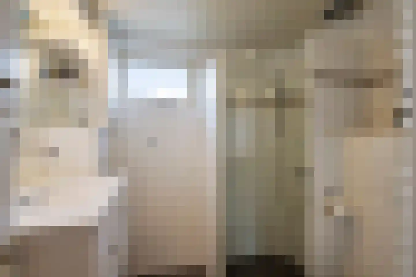 Heelwijkstraat 17 Heesch thumbnail 25