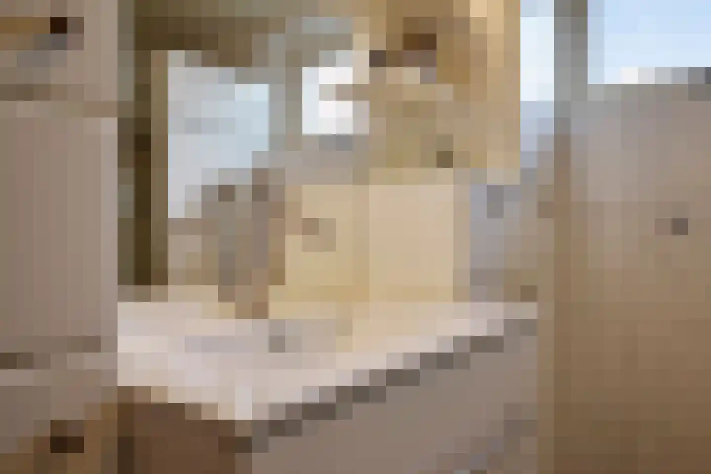 Heelwijkstraat 17 Heesch thumbnail 26