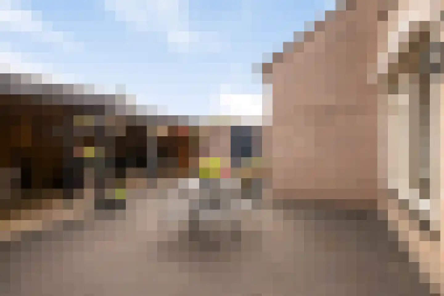 Heelwijkstraat 17 Heesch thumbnail 31