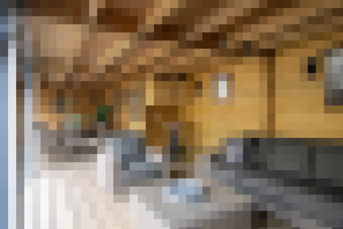 Heelwijkstraat 17 Heesch thumbnail 33