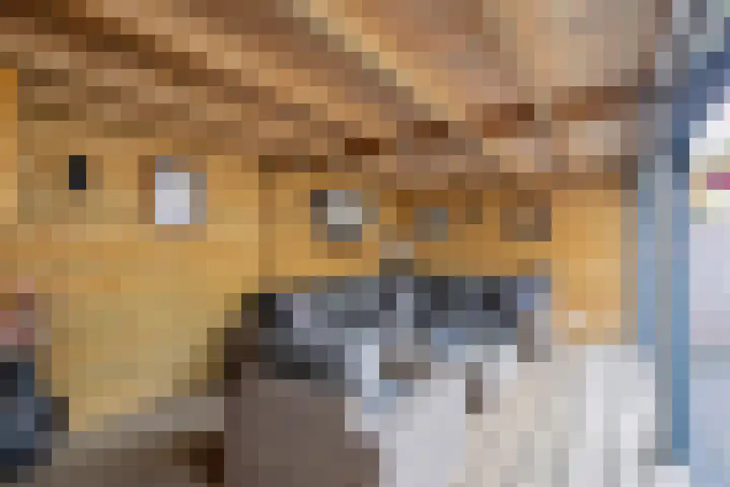 Heelwijkstraat 17 Heesch thumbnail 34