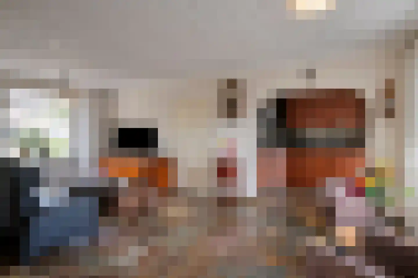 Heelwijkstraat 17 Heesch thumbnail 7