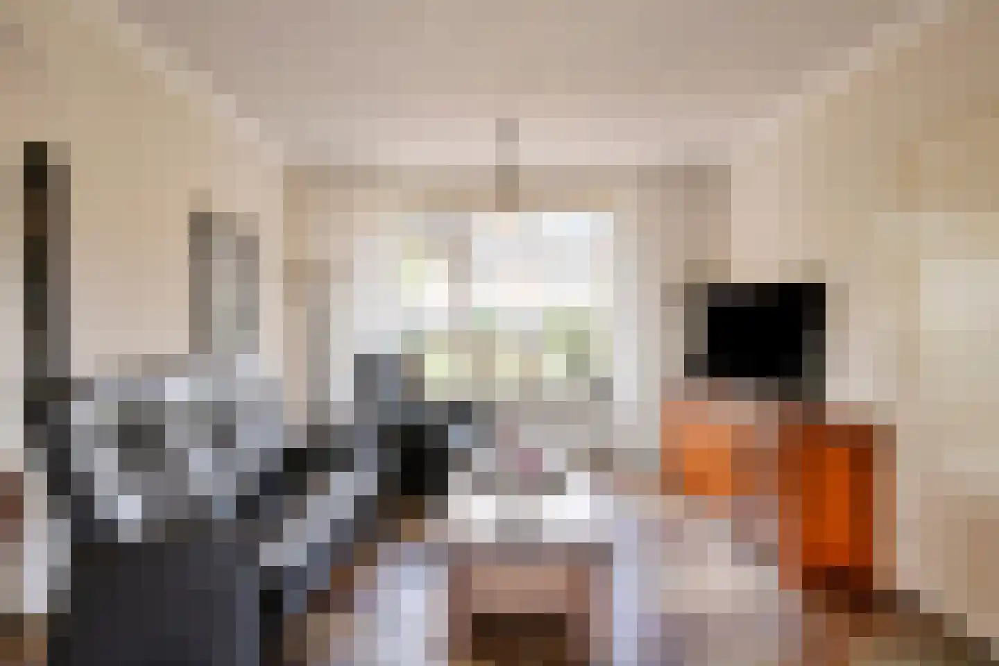 Heelwijkstraat 17 Heesch thumbnail 8