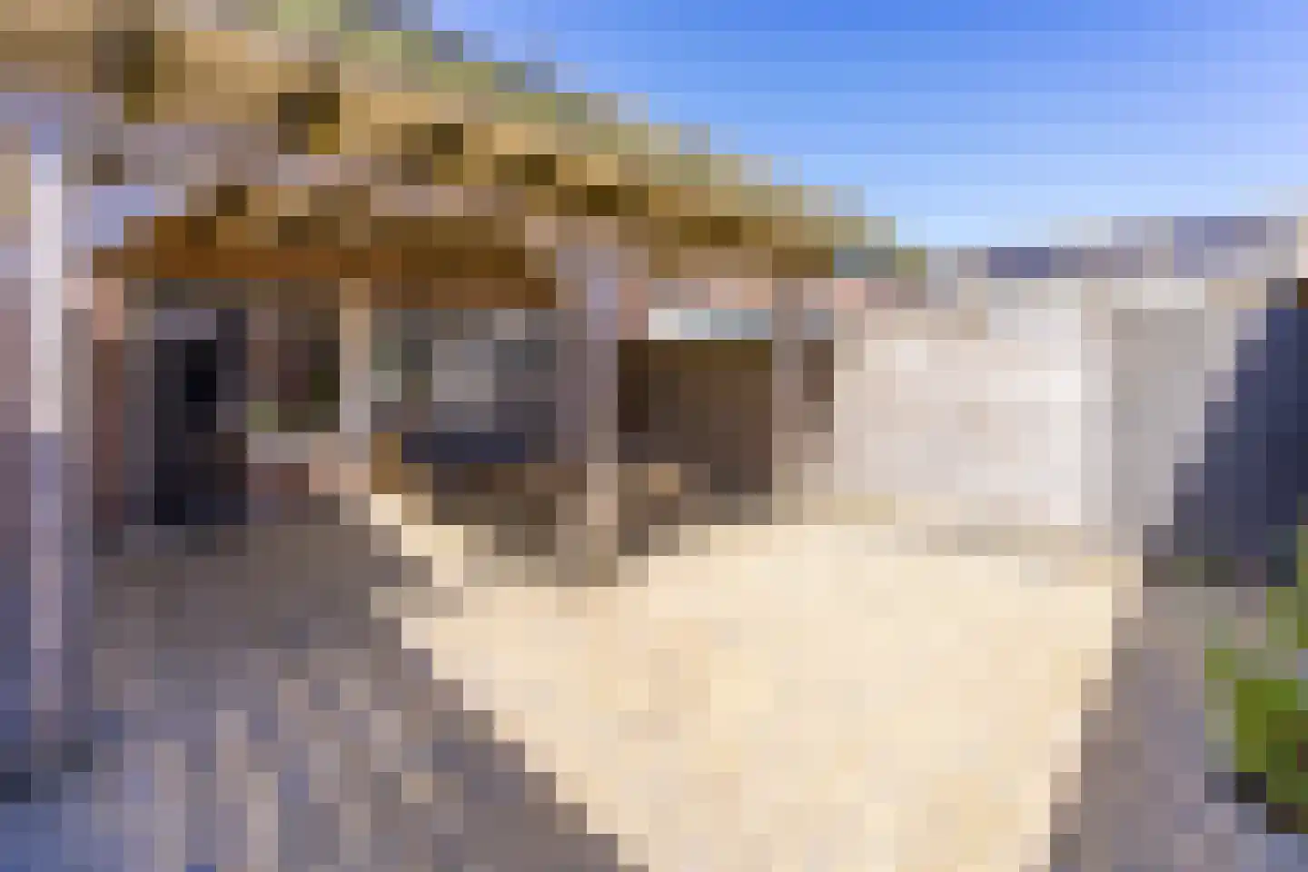 Heembadweg 31 Ter Apel thumbnail 33