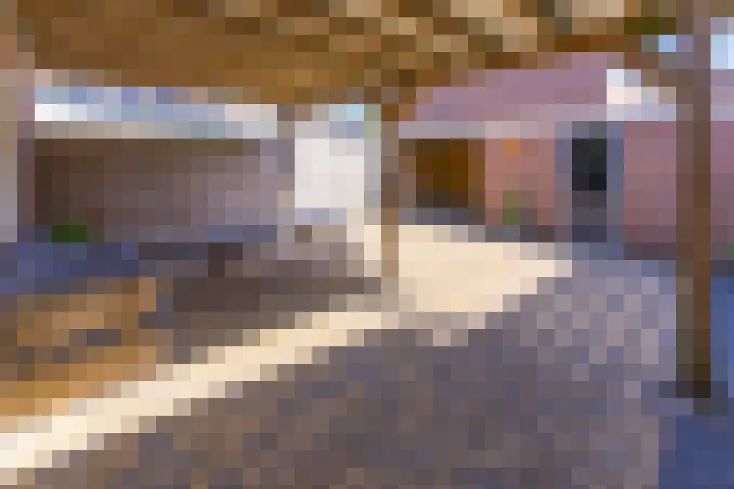 Heembadweg 31 Ter Apel thumbnail 37