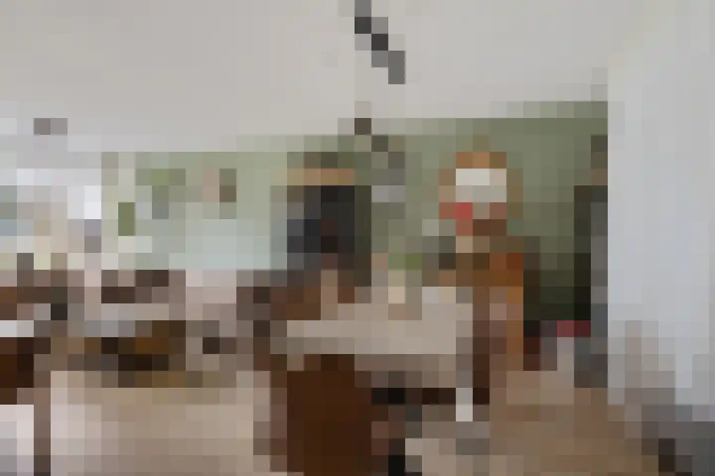 Heembadweg 33 Ter Apel thumbnail 15