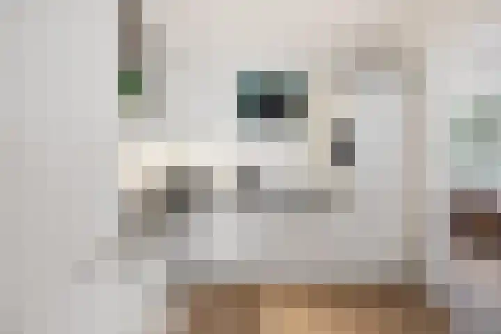 Heembadweg 33 Ter Apel thumbnail 16