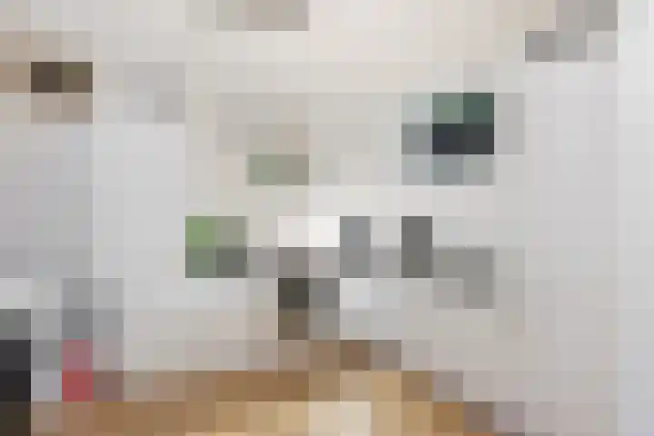 Heembadweg 33 Ter Apel thumbnail 17
