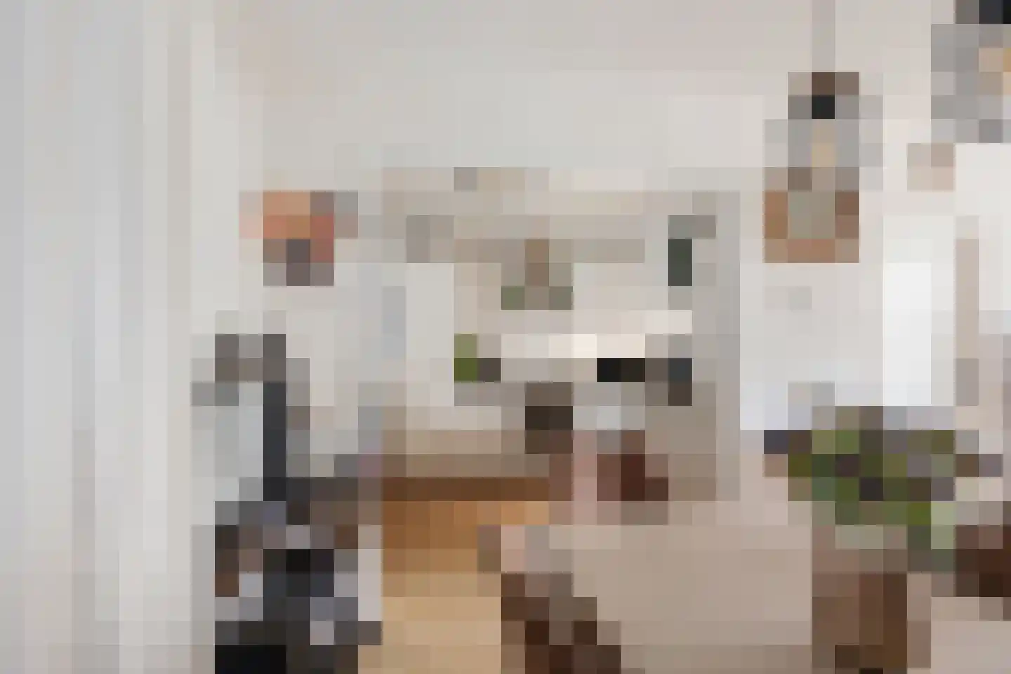 Heembadweg 33 Ter Apel thumbnail 18