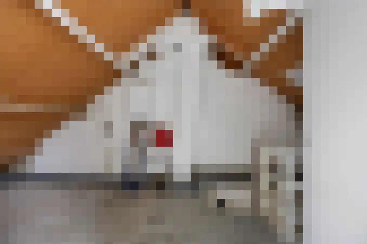 Heembadweg 33 Ter Apel thumbnail 35