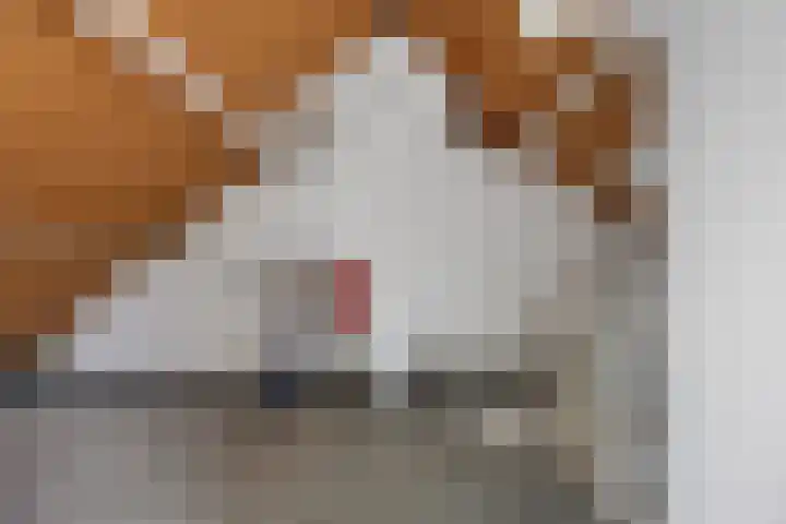 Heembadweg 33 Ter Apel thumbnail 35