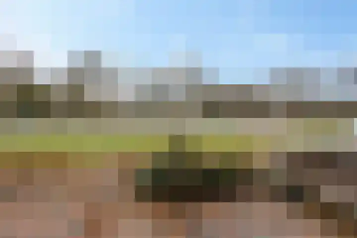 Heembadweg 33 Ter Apel thumbnail 6