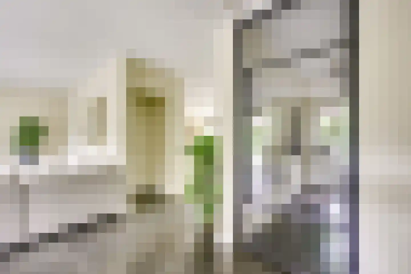 Heemcamp 18 Houten thumbnail 14