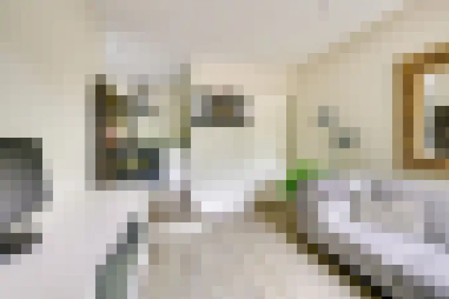Heemcamp 18 Houten thumbnail 22