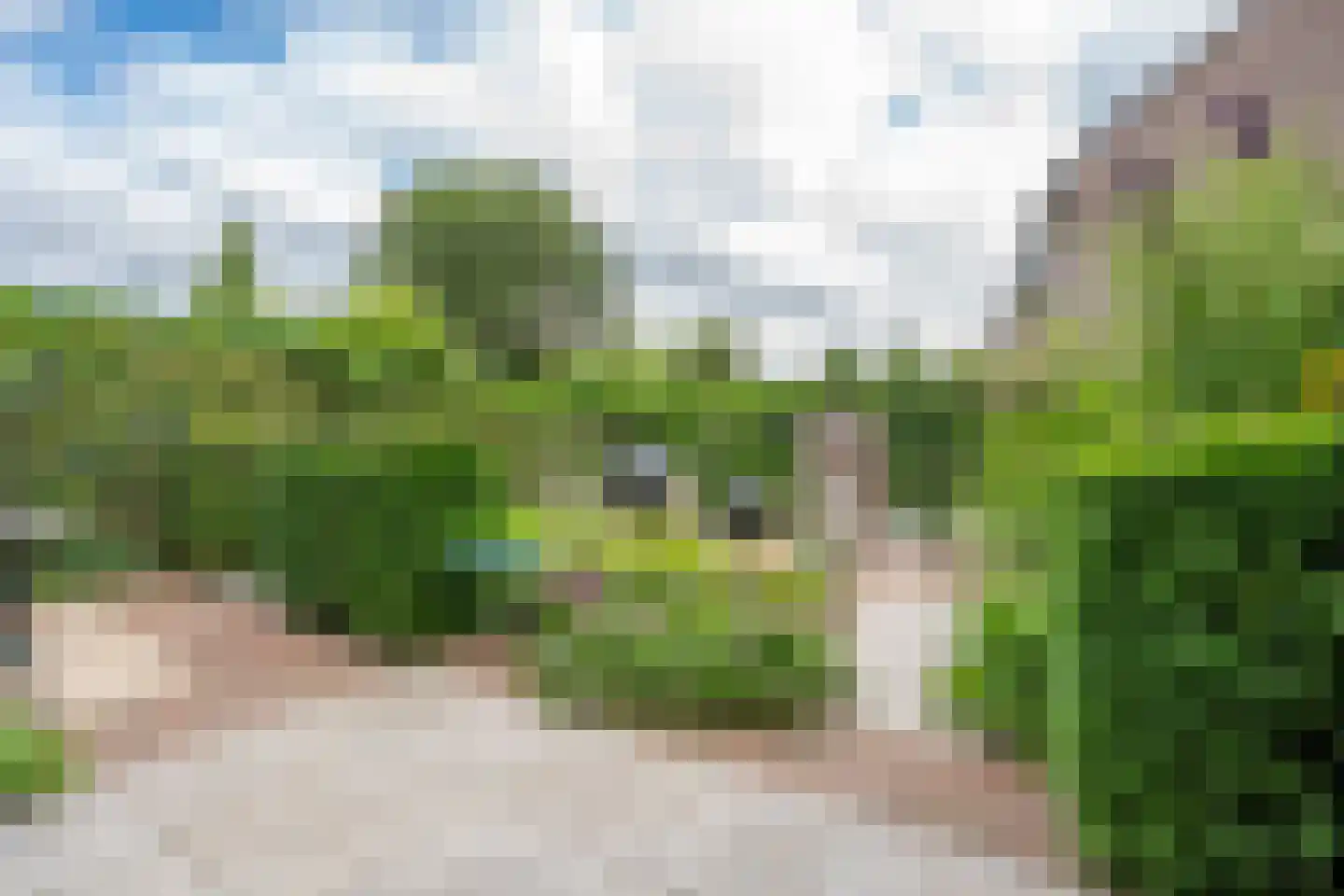 Heemcamp 18 Houten thumbnail 24