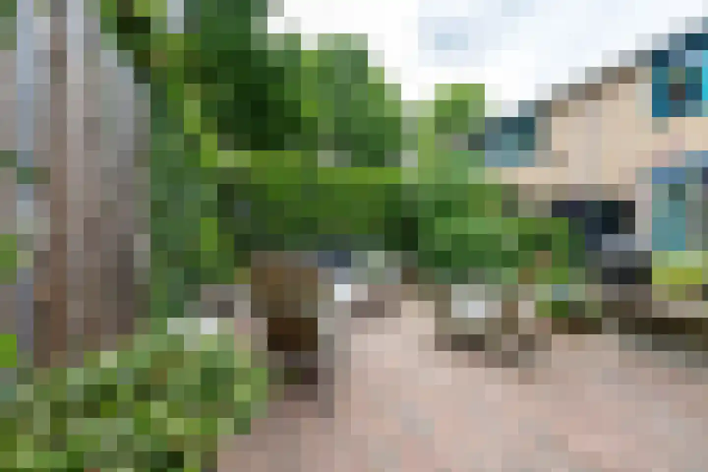 Heemcamp 18 Houten thumbnail 26