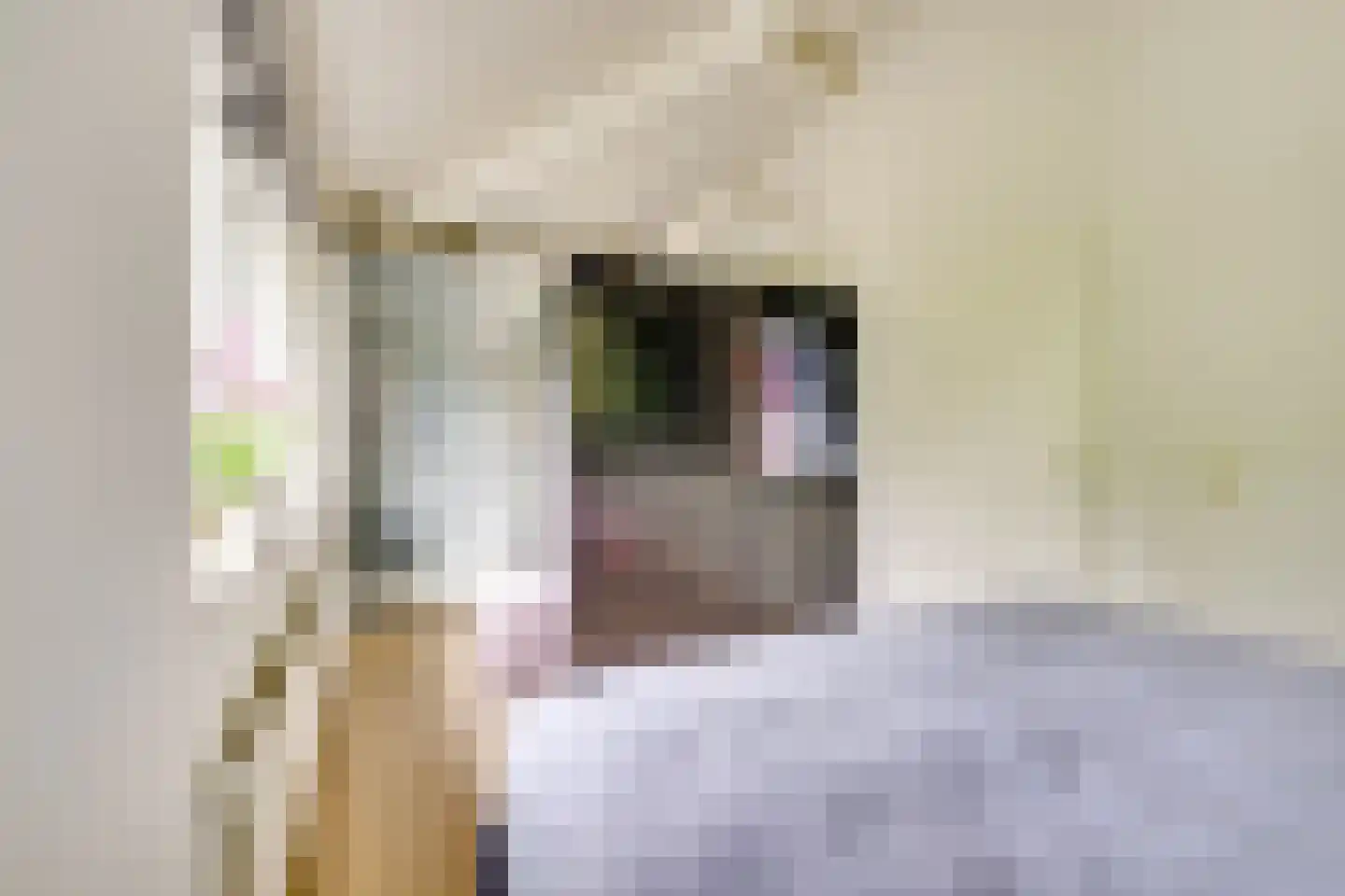 Heemcamp 18 Houten thumbnail 32