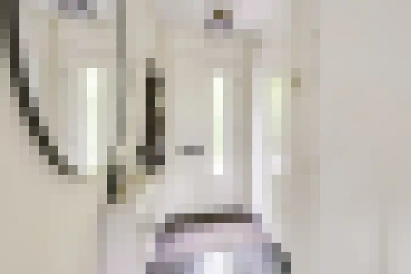 Heemcamp 18 Houten thumbnail 4