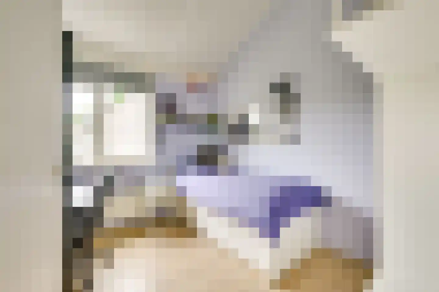 Heemcamp 18 Houten thumbnail 40
