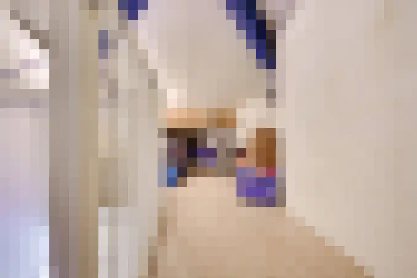 Heemcamp 18 Houten thumbnail 42